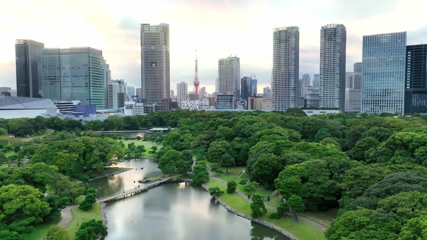 Tokyo skyline aerial view, flying above Tokyo downtown district and famous tourist landmark Hamarikyu gardens at sunset. High quality 4k footage Royalty-Free Stock Footage #1098463219
