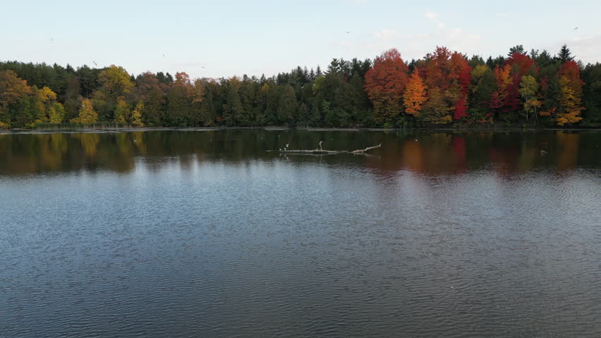 beautiful Toronto nature in summer 