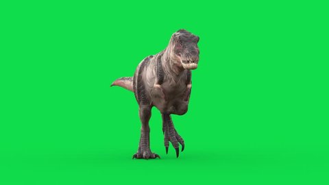 Trex Dinosaurs - 3D Animation - PixelBoom