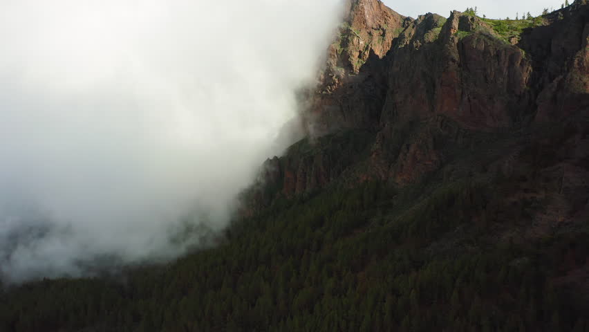 Fog rises from the valley to the top of mountain covered with coniferous tree forst. Clouds around the cliff peak at sunny misty weather in Teide national park. Nature background.