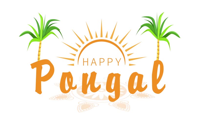 Happy Pongal Wish Animation Background