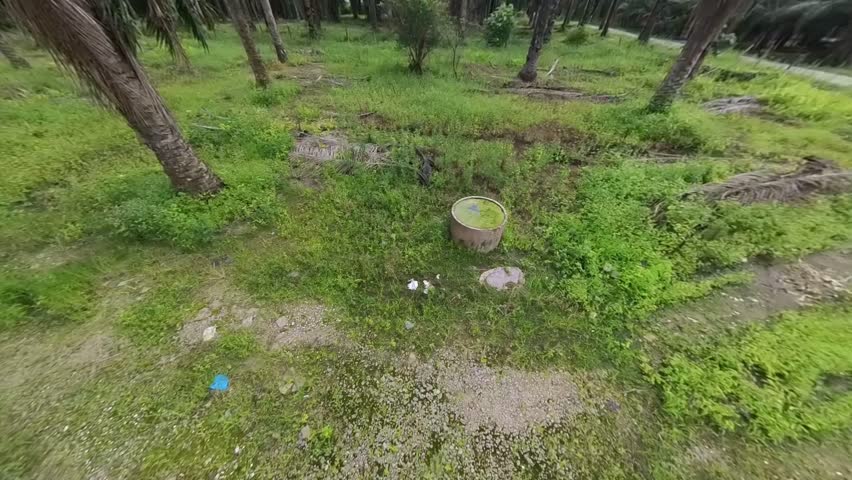 concrete well filled with algae sludge at the plantation land.