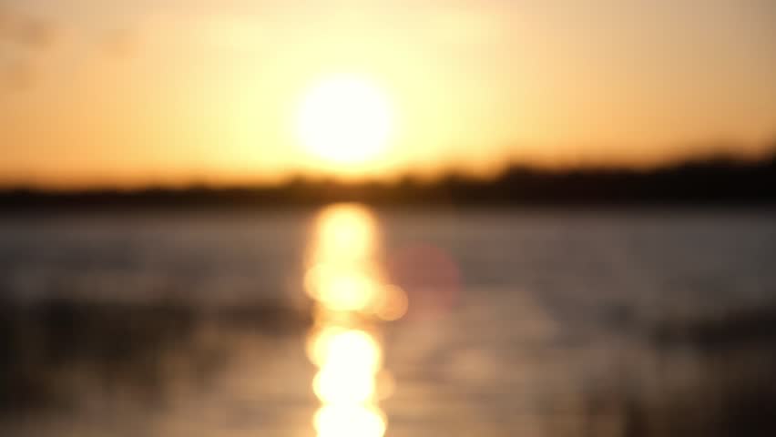 Blurred defocused video. Abstract soft focus sunset Lake landscape. Trees, lake, grass meadow. Warm golden hour sunrise time. Tranquil spring summer nature. Forest background. Idyllic nature. | Shutterstock HD Video #1098552815