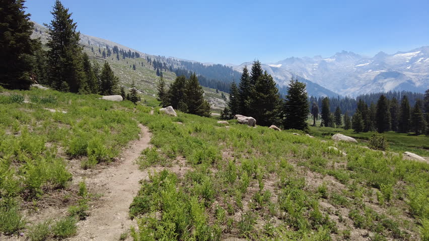 Hiking Alta Trail in Sequoia National Park