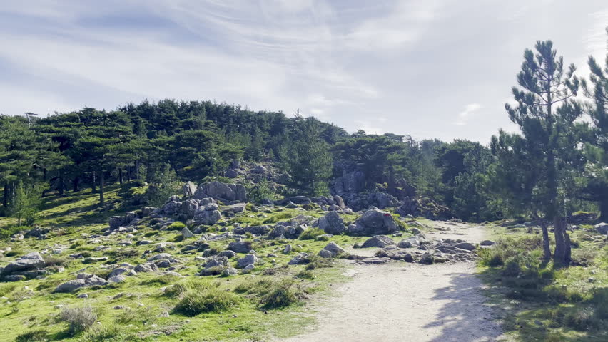 Slow walking on a hiking path near GR20 Bavella area in Corsica, with stones, grass and small summer vegetation, forest in background, in outdoor vacation in the relaxing nature with nobody