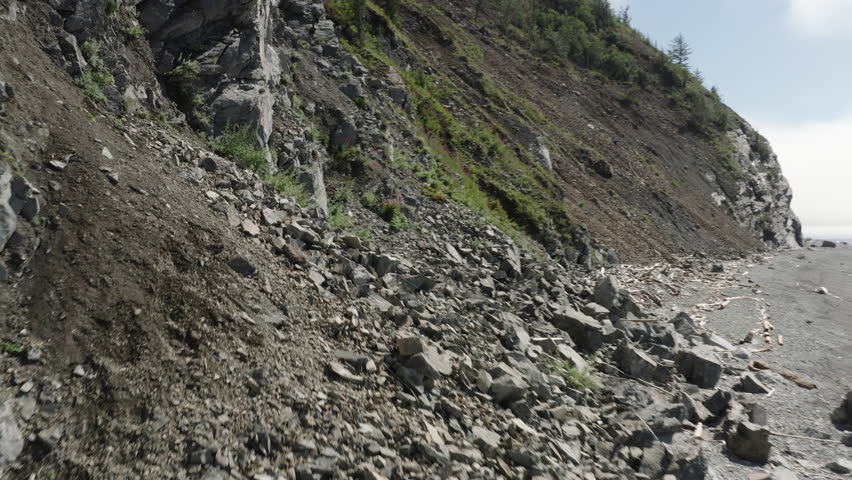 mountain bear on the way to the top of the mountain.