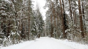POV winter driving in a snowy forest. View through a car's windshield - Powered by Shutterstock - Get 15% off with code: PIKWIZARD15