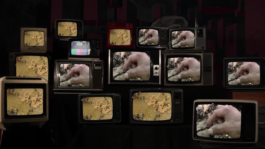 Hand of a Man Among Bees on Retro Televisions. 4K Resolution.
