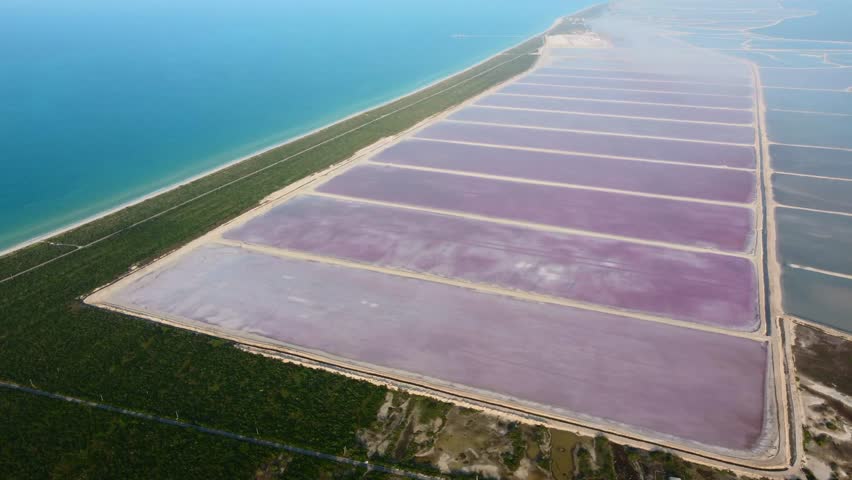 Aerial view on a sunny day of pink lakes in Mexico. Las Coloradas. Royalty-Free Stock Footage #1098574971