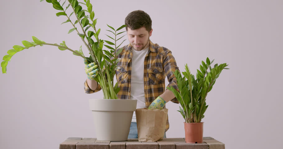 Florist replanting a mature flower. Camper who has a hobby for flowers, adds special soil to the plant to have a favorable growth. The man places the soil in the ceramic pot with the help of gloves. | Shutterstock HD Video #1098576853