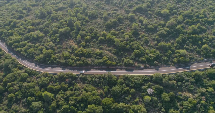Aerial view of a sport car driving in a woodland, Carmel Forest, Haifa, Israel