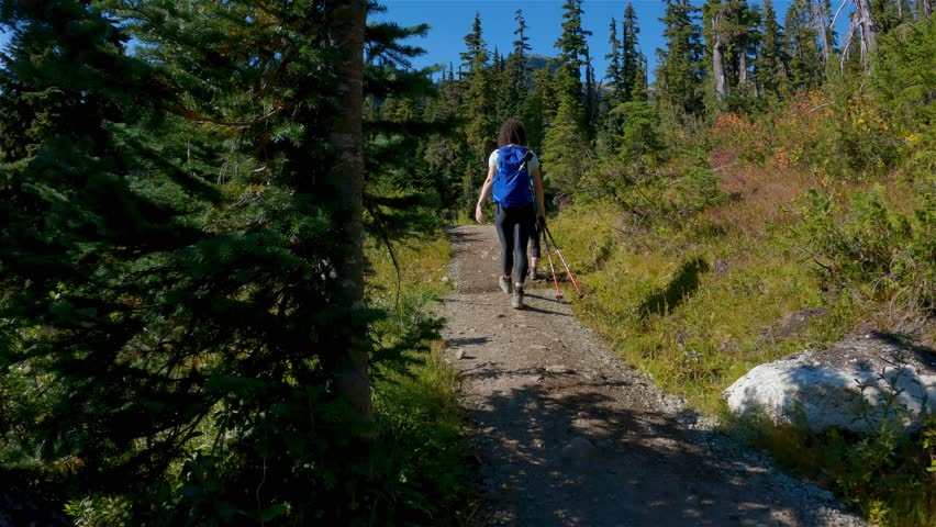 Adventurous people hiking in Canadian Mountain Landscape. Sunny Fall Season. Brandywine Meadows near Whistler and Squamish, British Columbia, Canada. Adventure Travel. Slow Motion Cinematic | Shutterstock HD Video #1098596913
