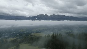 Drone video of the foggy forest in mountains, flight through the clouds, 4k 10 bit