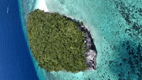 Vertical video of Aerial shot of tropical island with huge colorful underwater coral reefs