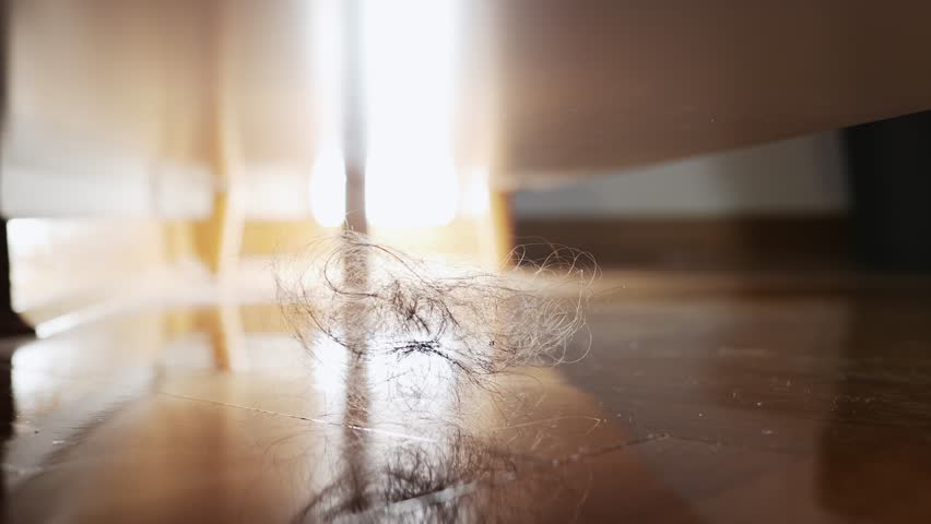 Dusty dirty floor with clump of hair on shining parquet under furniture in living room. Close-up, low angle view. Dolly and zoom out shot. Cleaning service concept. Royalty-Free Stock Footage #1098629399