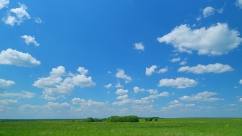 Field of young green grass against the blue sky and white clouds passing. Blue sky with moving white clouds in background. Wide shot. Timelapse. 库存视频