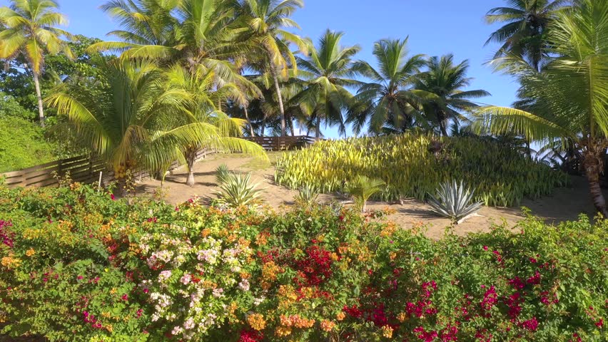 Aerial view of a tropical landscape and northern coastline of Puerto Rico.