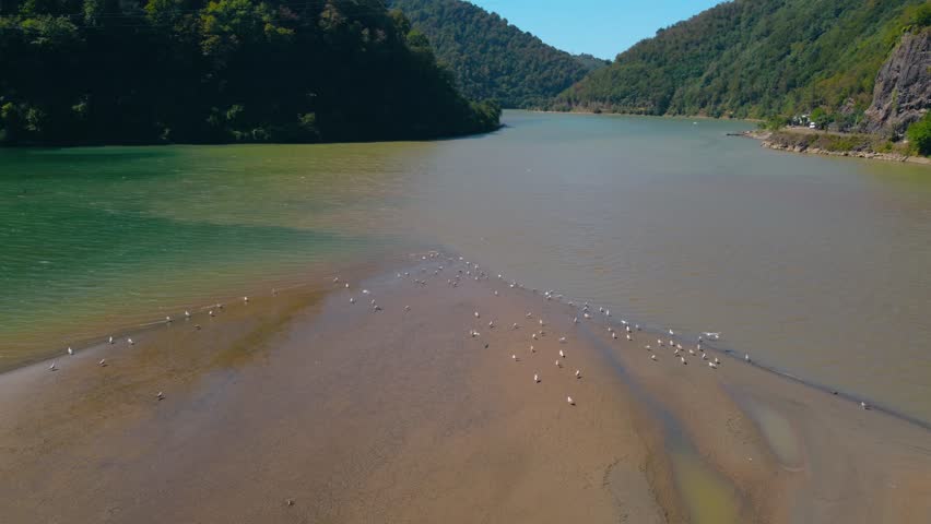 Birds fly over the river in Georgia. Beautiful georgian nature from bird
