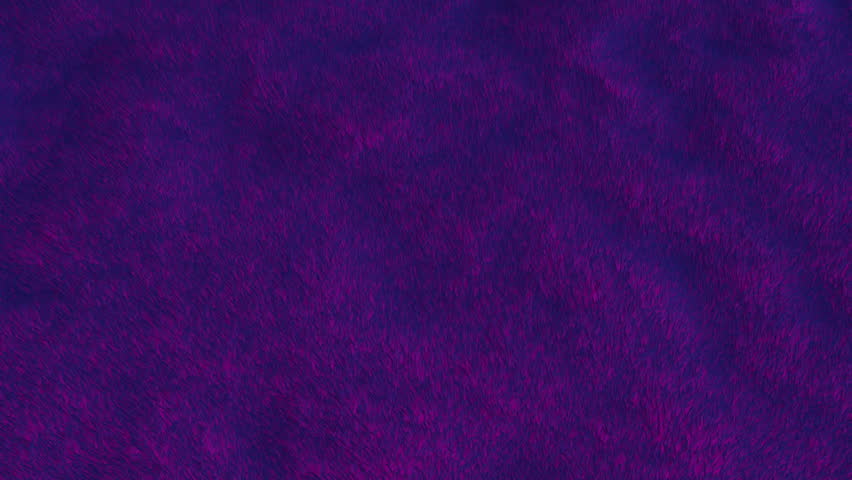 Abstract Blue Pink Fur Waving Background | Shutterstock HD Video #1098663333