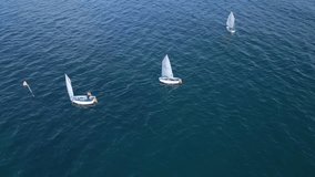 Junior sailors sport competition. Junior yacht club regatta in the open sea. Junior training course on sailboats. Aerial drone video.