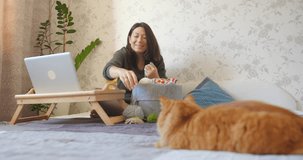 Woman is crocheting while watching movie on laptop. Learn to knit from video lessons and tutorials on Internet. Ginger cat is lying near woman.