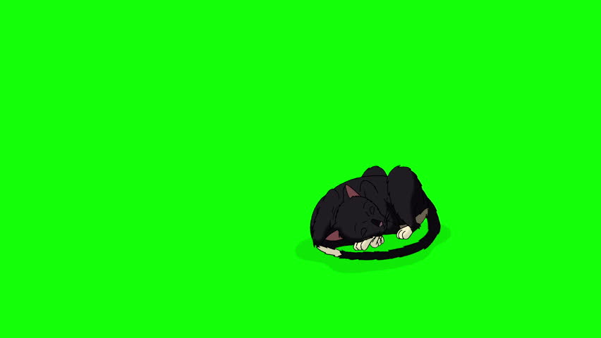 Black Cat comes and lies down chroma key HD. Handmade animated HD footage isolated on green screen | Shutterstock HD Video #1098696879