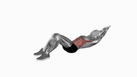 Crunch hands overhead fitness exercise workout animation male muscle highlight demonstration at 4K resolution 60 fps crisp quality for websites, apps, blogs, social media etc.