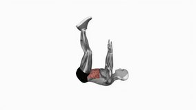 Crunch straight leg up fitness exercise workout animation male muscle highlight demonstration at 4K resolution 60 fps crisp quality for websites, apps, blogs, social media etc.