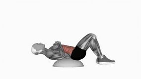 Crunch on bosu ball fitness exercise workout animation male muscle highlight demonstration at 4K resolution 60 fps crisp quality for websites, apps, blogs, social media etc.
