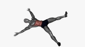 star crunches fitness exercise workout animation male muscle highlight demonstration at 4K resolution 60 fps crisp quality for websites, apps, blogs, social media etc.