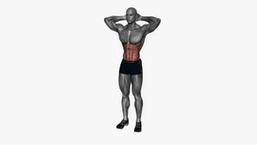 standing oblique crunch fitness exercise workout animation male muscle highlight demonstration at 4K resolution 60 fps crisp quality for websites, apps, blogs, social media etc.