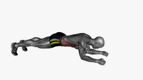 spider plank fitness exercise workout animation male muscle highlight demonstration at 4K resolution 60 fps crisp quality for websites, apps, blogs, social media etc.