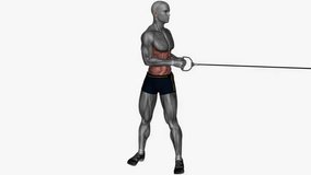 standing cable oblique twist fitness exercise workout animation male muscle highlight demonstration at 4K resolution 60 fps crisp quality for websites, apps, blogs, social media etc.