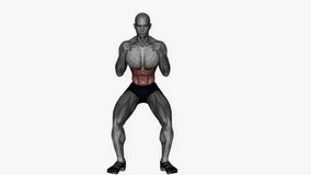 side to side punch fitness exercise workout animation male muscle highlight demonstration at 4K resolution 60 fps crisp quality for websites, apps, blogs, social media etc.