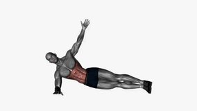 Side plank with hip lift fitness exercise workout animation male muscle highlight demonstration at 4K resolution 60 fps crisp quality for websites, apps, blogs, social media etc.