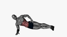 Side plank fitness exercise workout animation male muscle highlight demonstration at 4K resolution 60 fps crisp quality for websites, apps, blogs, social media etc.