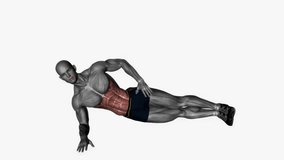 side plank oblique crunch fitness exercise workout animation male muscle highlight demonstration at 4K resolution 60 fps crisp quality for websites, apps, blogs, social media etc.
