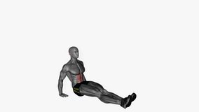 seated v up fitness exercise workout animation male muscle highlight demonstration at 4K resolution 60 fps crisp quality for websites, apps, blogs, social media etc.