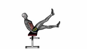 Seated flutter kicks fitness exercise workout animation male muscle highlight demonstration at 4K resolution 60 fps crisp quality for websites, apps, blogs, social media etc.