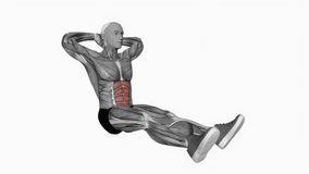 Seated floor crunches fitness exercise workout animation male muscle highlight demonstration at 4K resolution 60 fps crisp quality for websites, apps, blogs, social media etc.