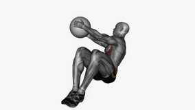 russian twist weighted ball fitness exercise workout animation male muscle highlight demonstration at 4K resolution 60 fps crisp quality for websites, apps, blogs, social media etc.