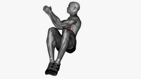 russian twist fitness exercise workout animation male muscle highlight demonstration at 4K resolution 60 fps crisp quality for websites, apps, blogs, social media etc.