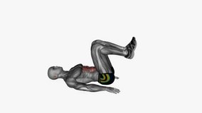 reverse crunch with kick out fitness exercise workout animation male muscle highlight demonstration at 4K resolution 60 fps crisp quality for websites, apps, blogs, social media etc.