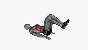 reverse crunch fitness exercise workout animation male muscle highlight demonstration at 4K resolution 60 fps crisp quality for websites, apps, blogs, social media etc.