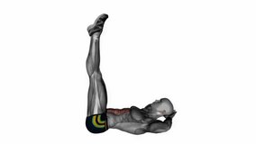Raised leg crunch fitness exercise workout animation male muscle highlight demonstration at 4K resolution 60 fps crisp quality for websites, apps, blogs, social media etc.