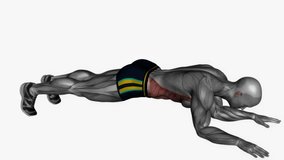 plank jack fitness exercise workout animation male muscle highlight demonstration at 4K resolution 60 fps crisp quality for websites, apps, blogs, social media etc.