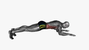 plank on elbows fitness exercise workout animation male muscle highlight demonstration at 4K resolution 60 fps crisp quality for websites, apps, blogs, social media etc.