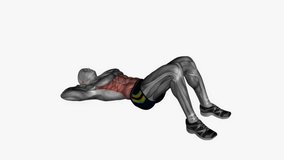 oblique crunch fitness exercise workout animation male muscle highlight demonstration at 4K resolution 60 fps crisp quality for websites, apps, blogs, social media etc.