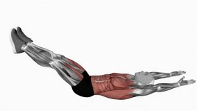Alternate leg pull fitness exercise workout animation male muscle highlight demonstration at 4K resolution 60 fps crisp quality for websites, apps, blogs, social media etc.