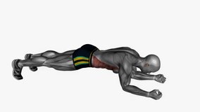 alternate arm leg plank hold fitness exercise workout animation male muscle highlight demonstration at 4K resolution 60 fps crisp quality for websites, apps, blogs, social media etc.